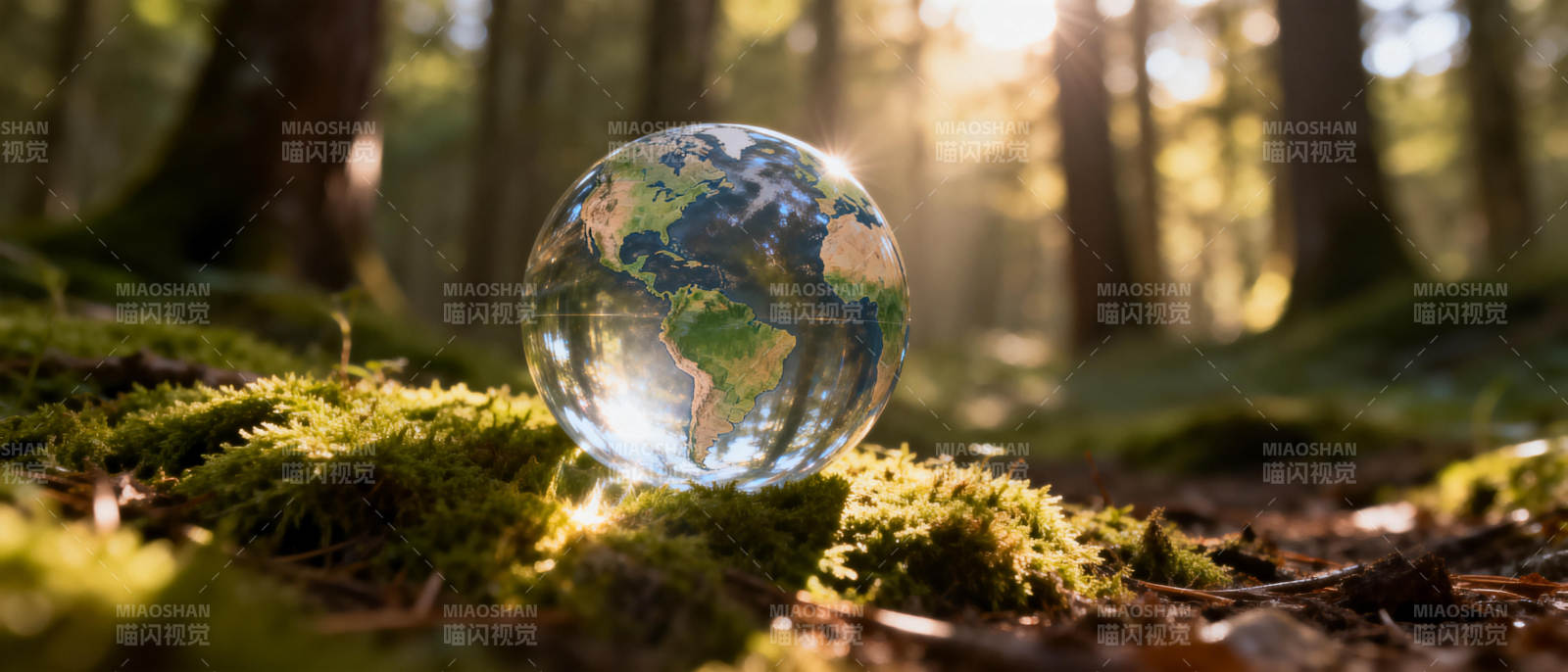 地球在森林中图片