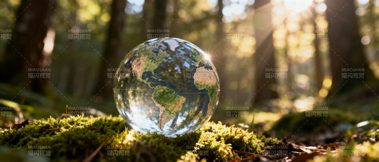地球在森林中图片