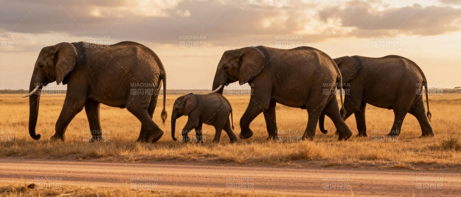 象群行进草原图片