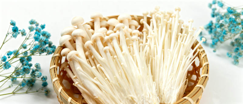 新鲜金针菇特写图片