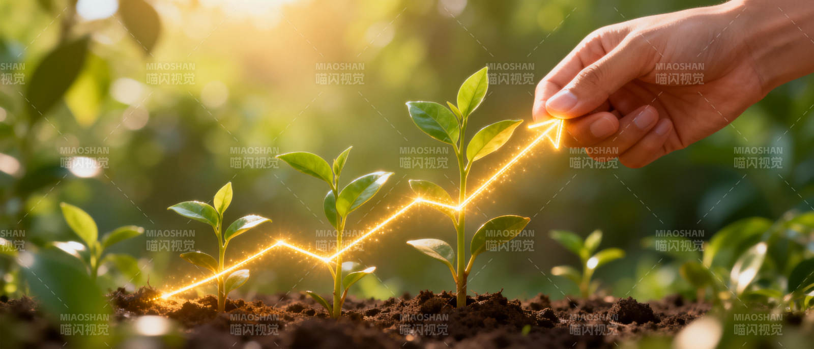 成长的希望图片