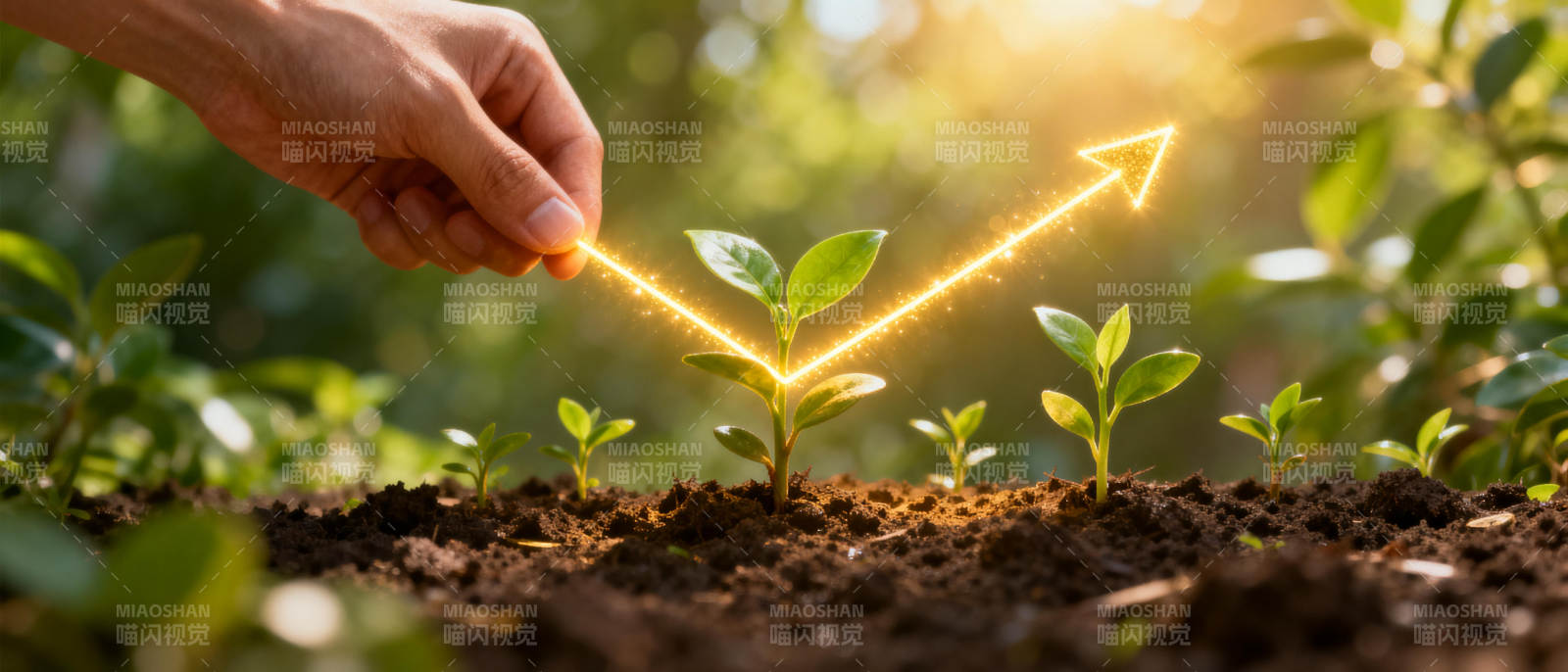 成长的希望图片