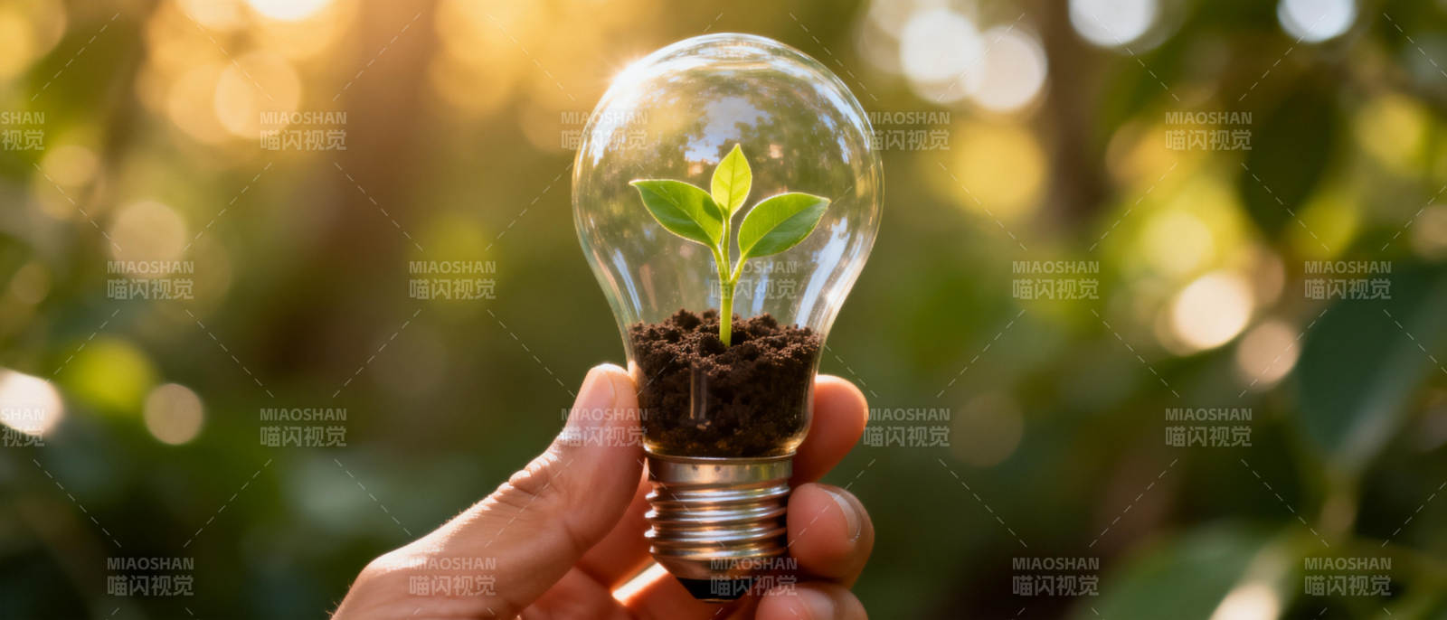 绿芽点亮未来图片