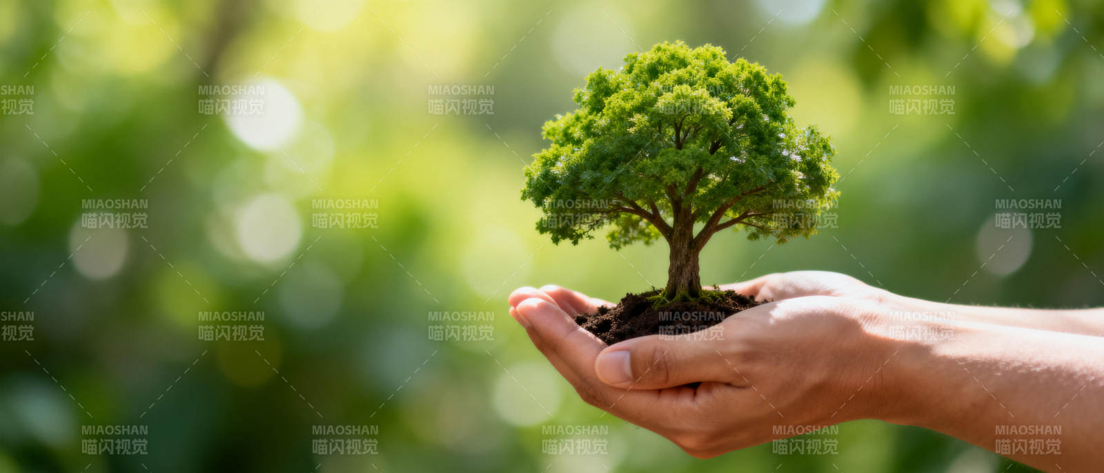 手捧绿树 守护自然图片