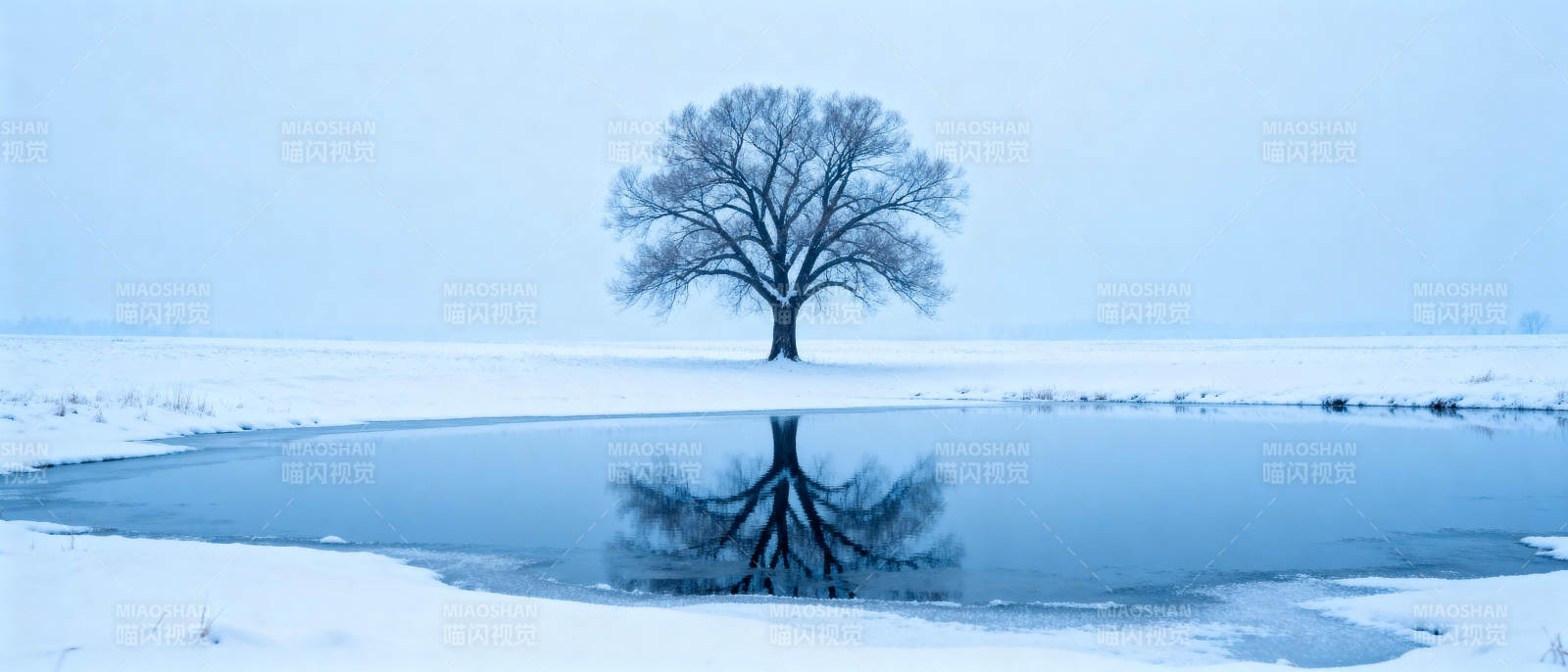 雪湖孤树倒影图片
