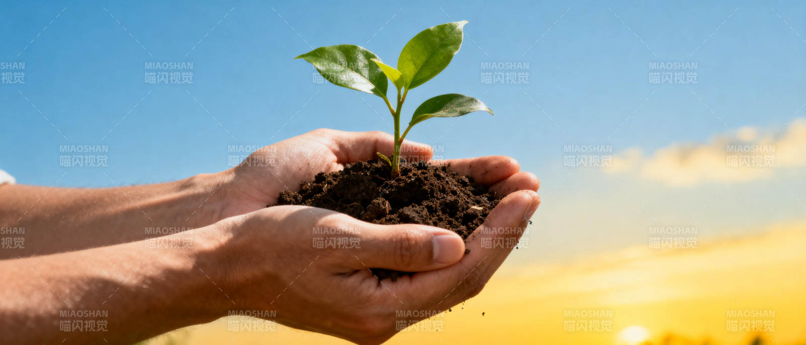 双手托起新生命图片