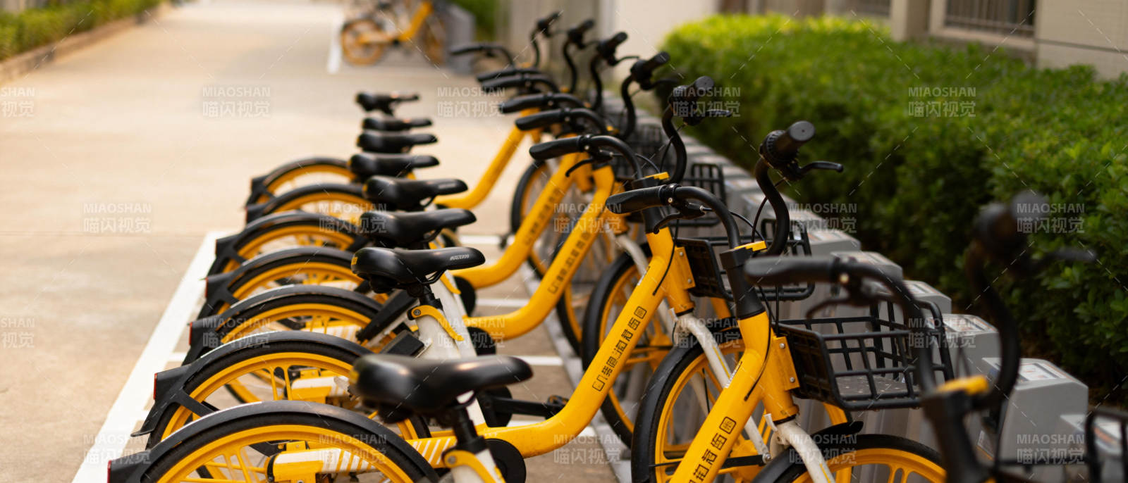 黄色共享单车整齐排列图片