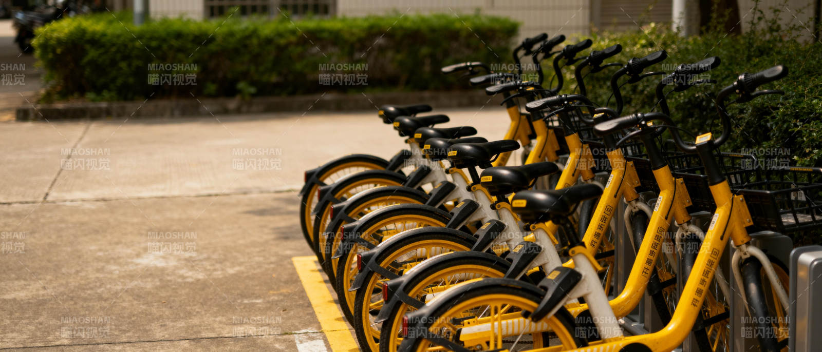 整齐排列的共享单车图片