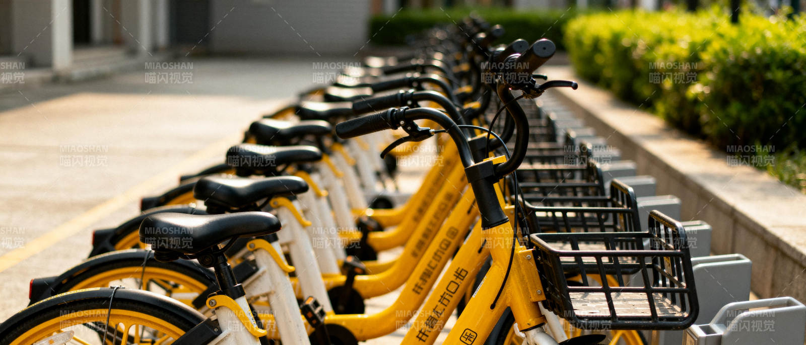 整齐排列的共享单车图片