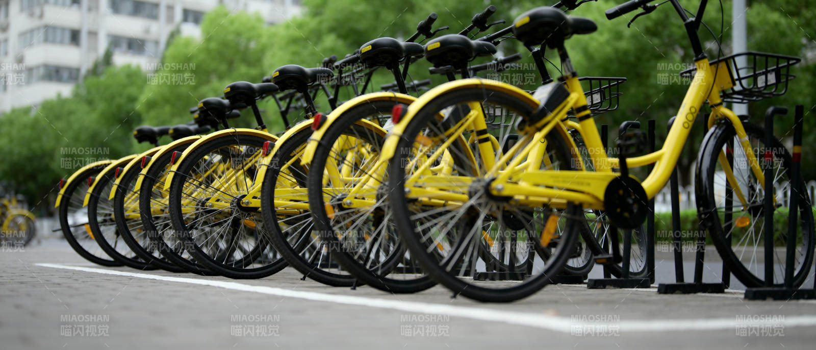 整齐排列的黄色共享单车图片