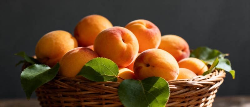 篮中新鲜杏子图片