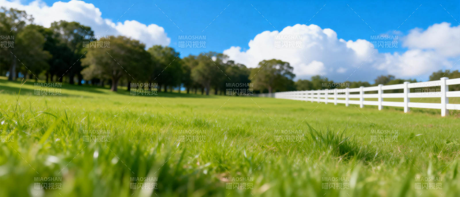 绿茵草地白云飘图片