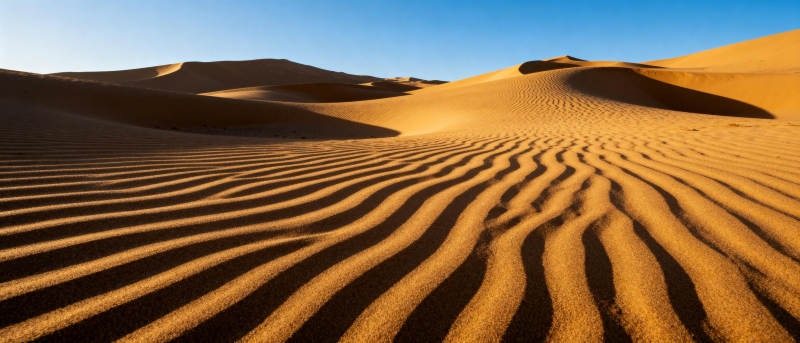 沙漠沙丘波纹图片