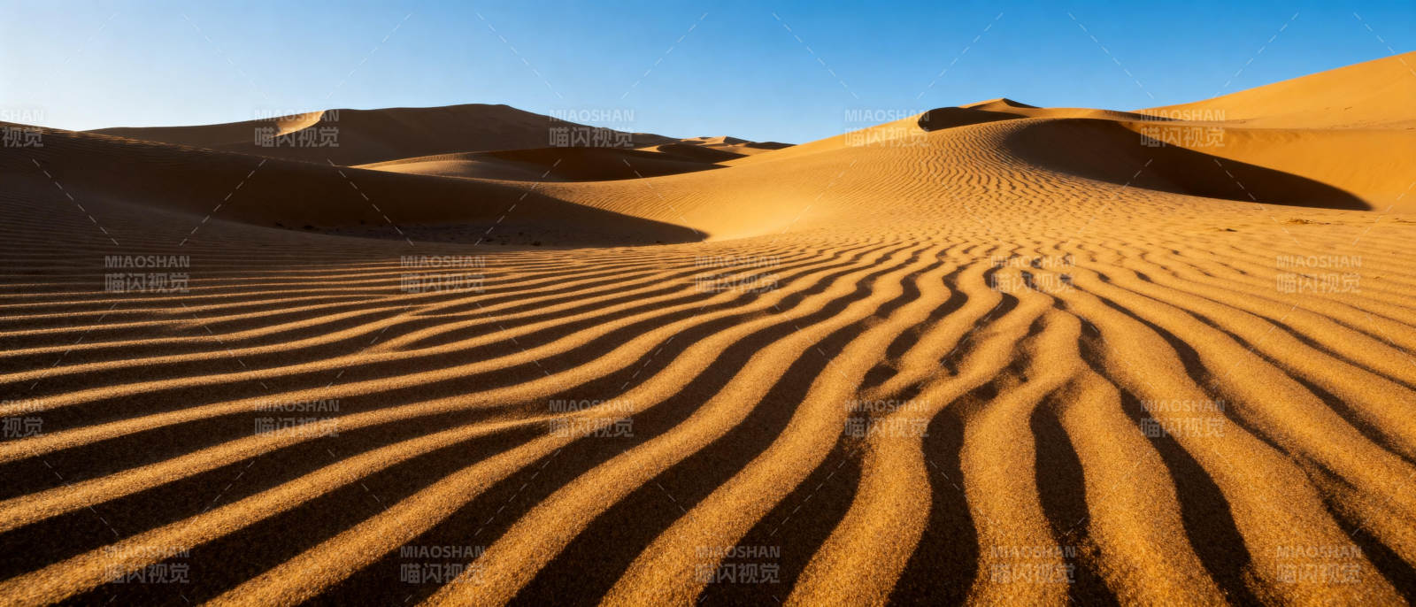 沙漠沙丘波纹图片