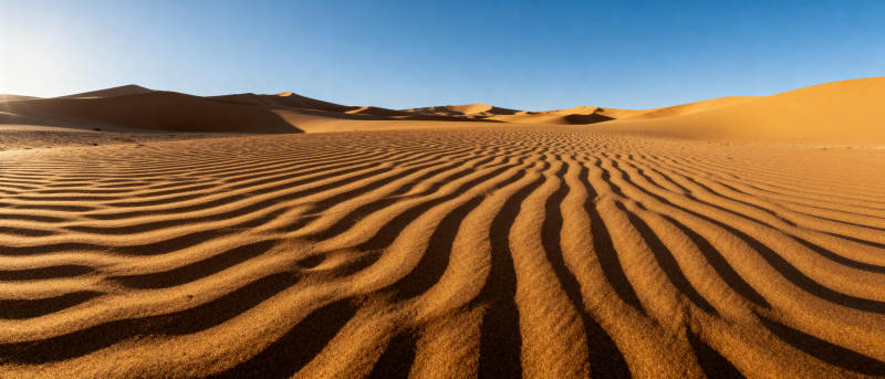 沙漠波纹图片