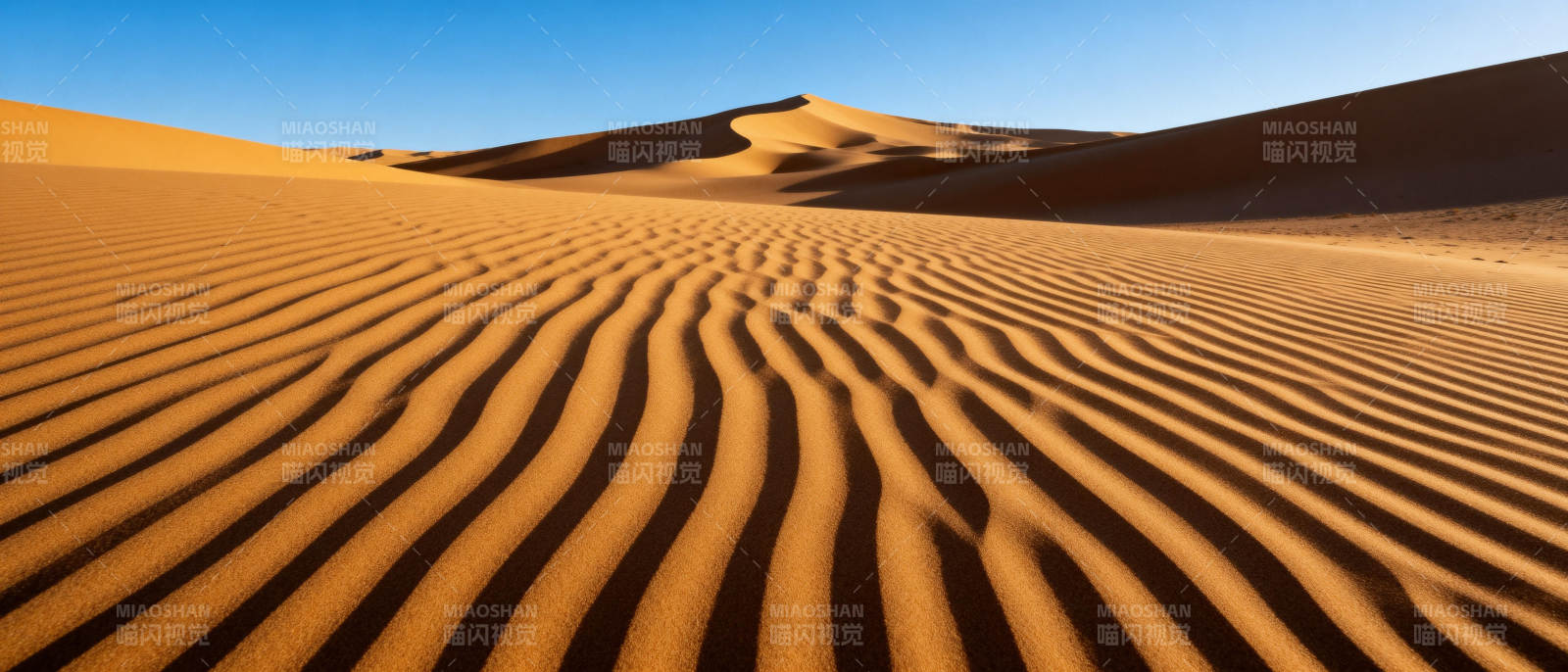 沙漠沙丘纹理图片