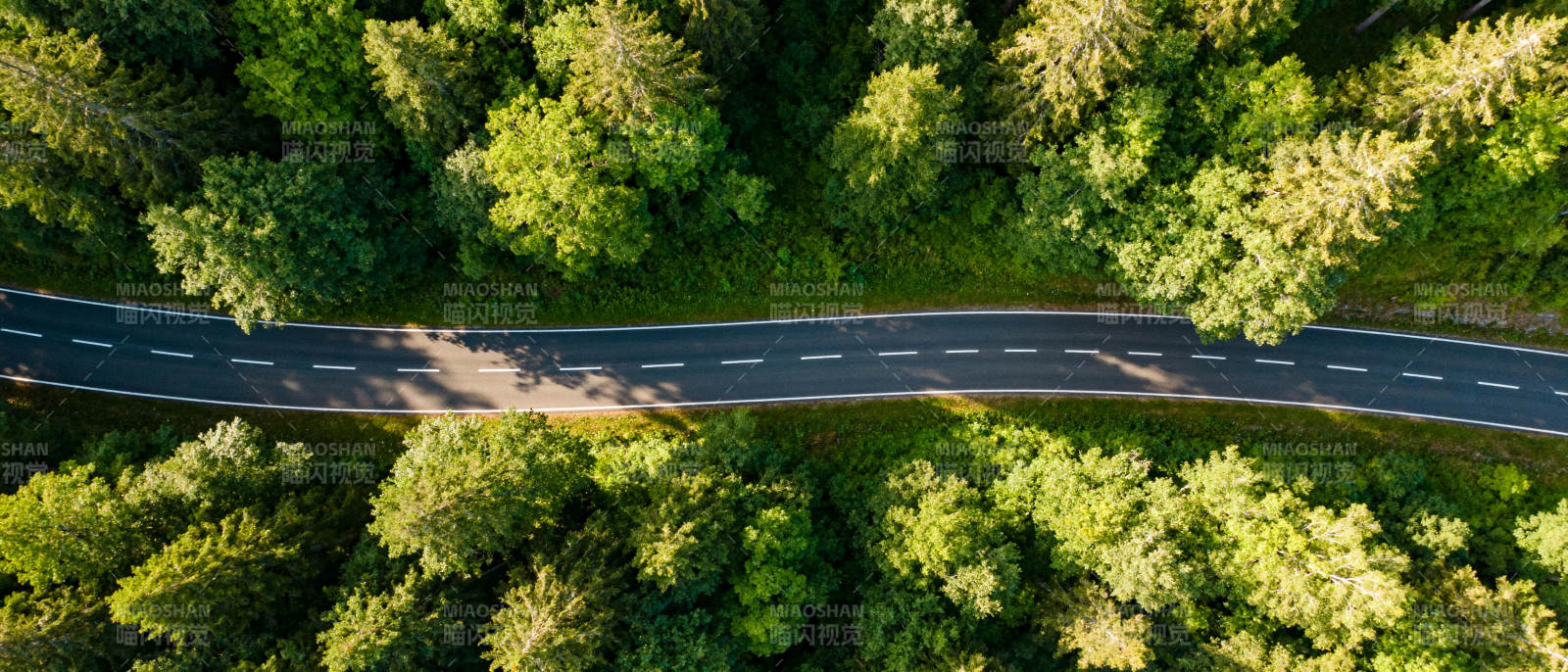 林间公路航拍图片
