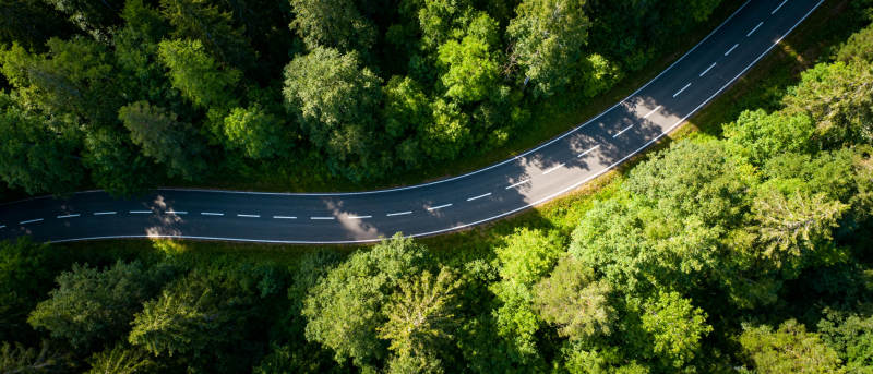 森林公路俯瞰图图片