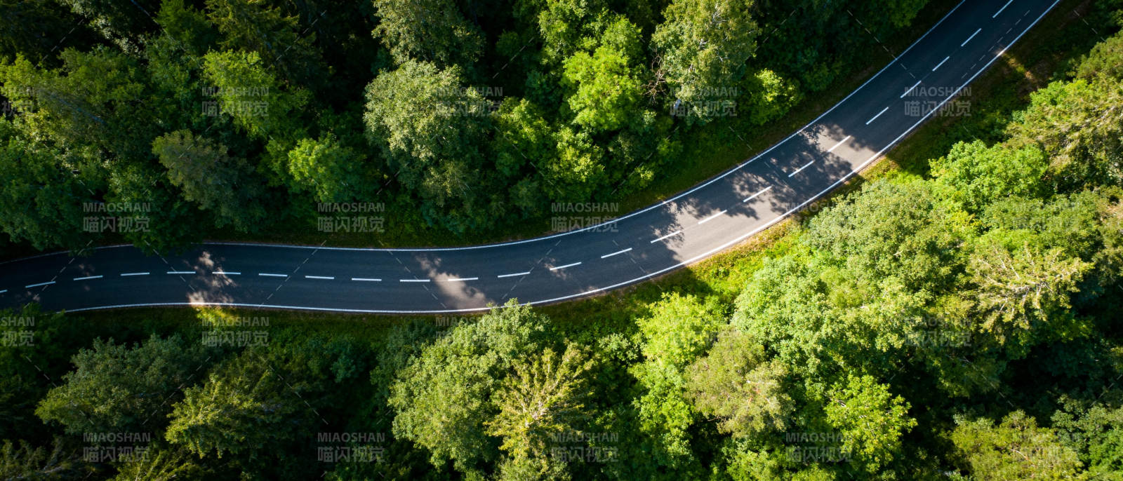 森林公路俯瞰图图片