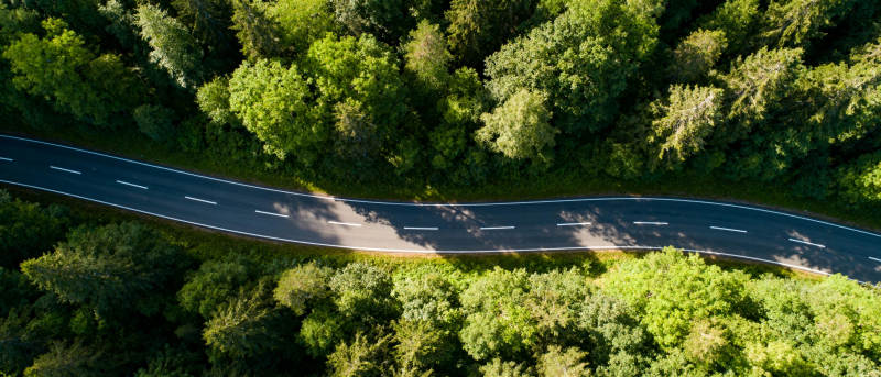 林间蜿蜒公路图片