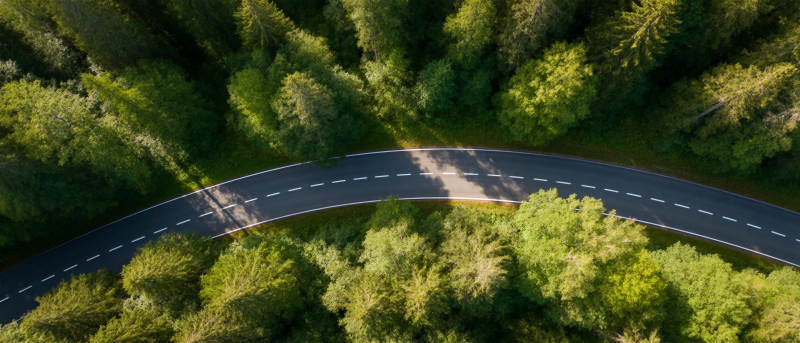 森林中的蜿蜒公路图片