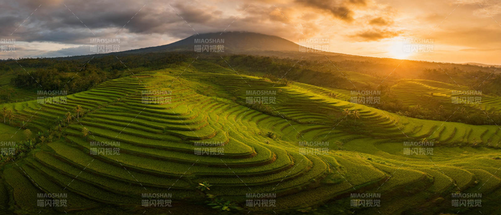 梯田日出风光图片