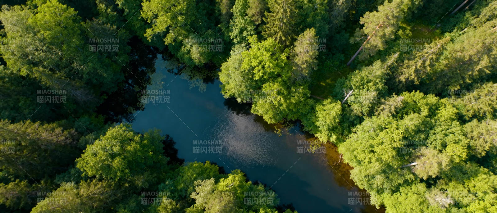 森林溪流航拍图图片