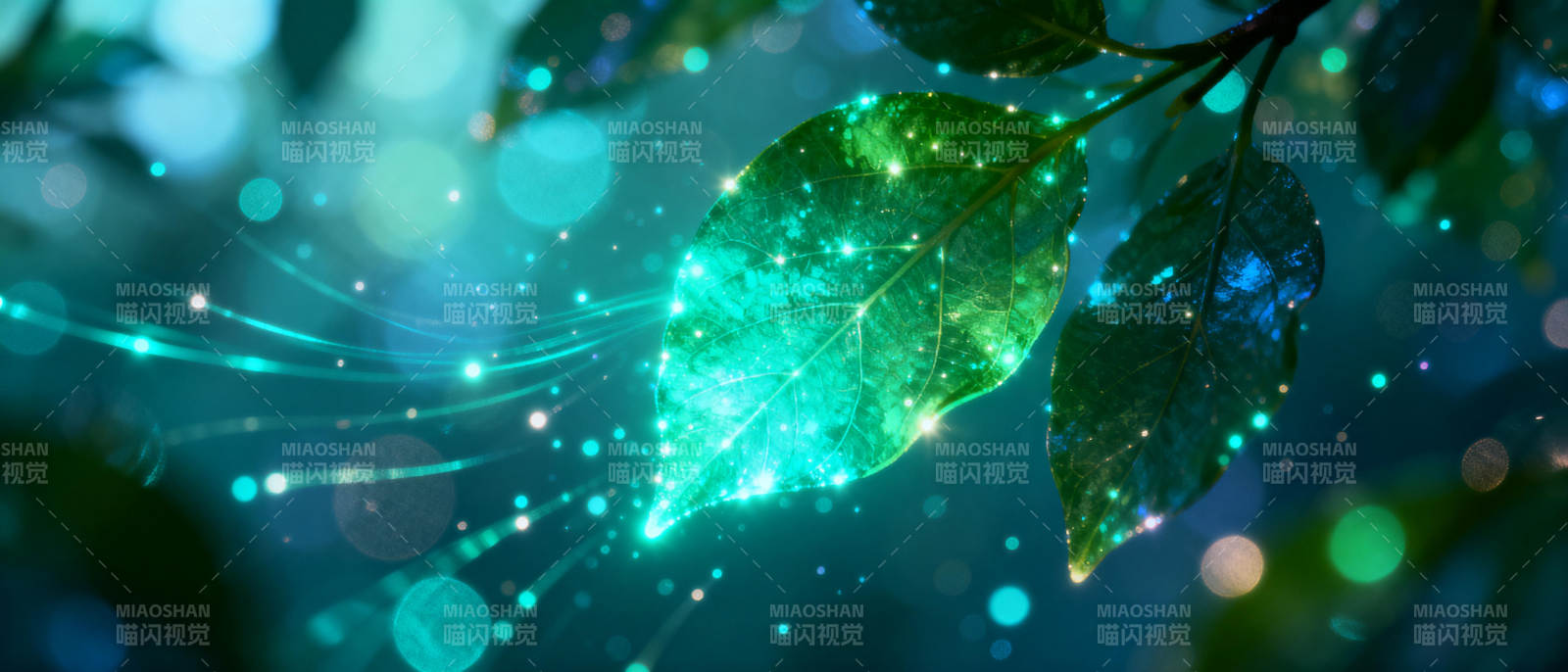 绿叶星光梦图片