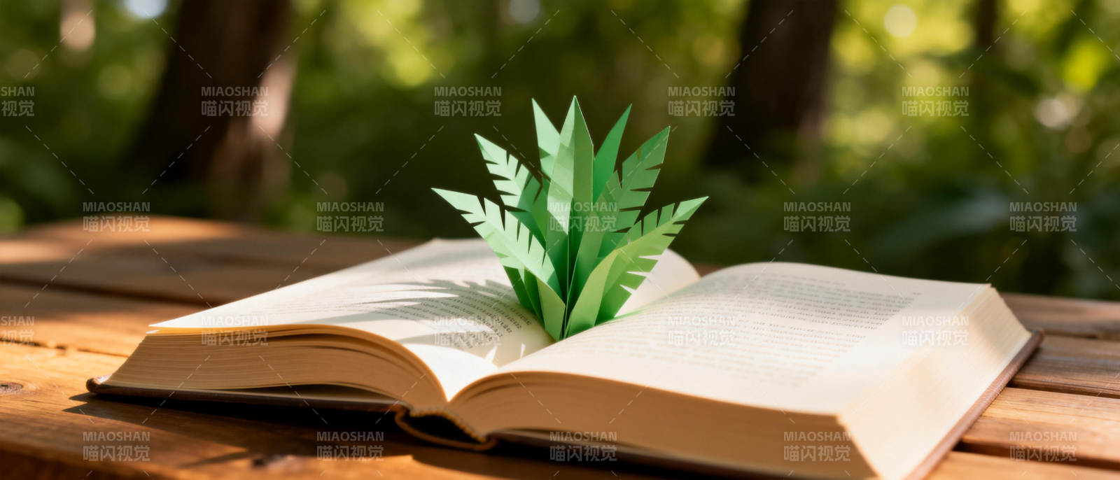 书页生绿意图片