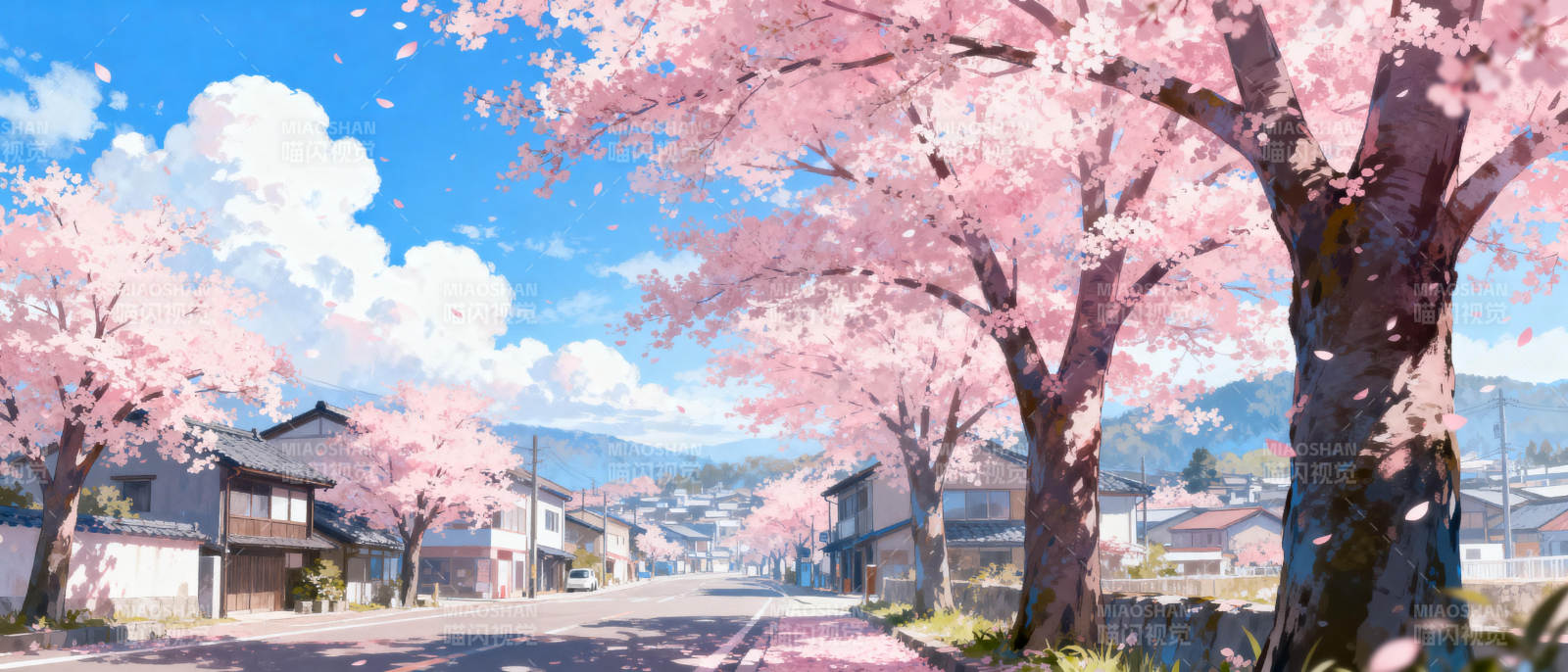 樱花盛开的街道图片