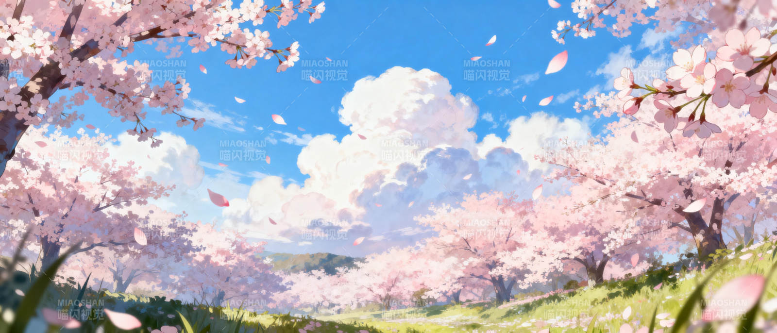 樱花盛开的春天图片