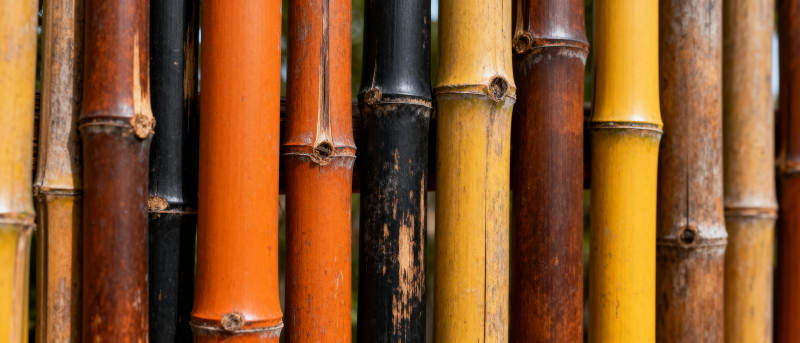 多彩竹竿排列图片