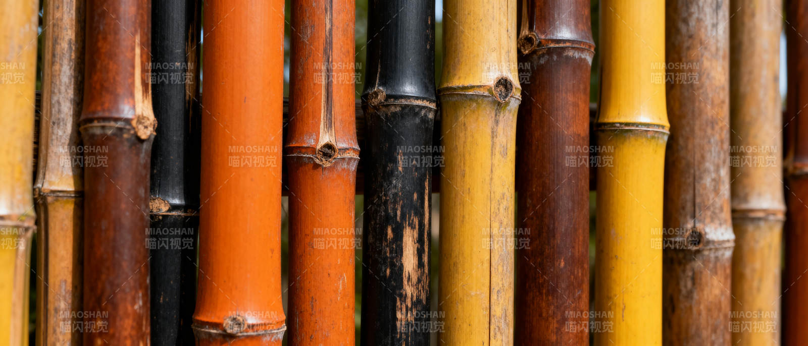 多彩竹竿排列图片
