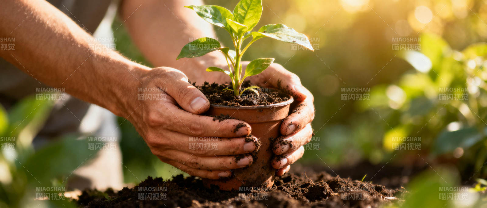 种下希望 守护绿色图片