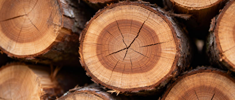 原木切面纹理图片