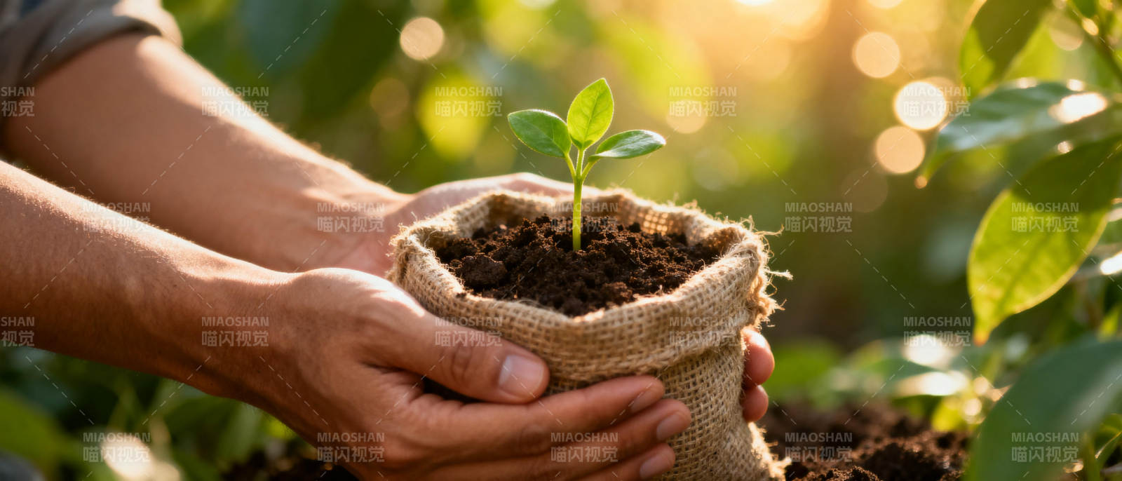呵护新生命图片