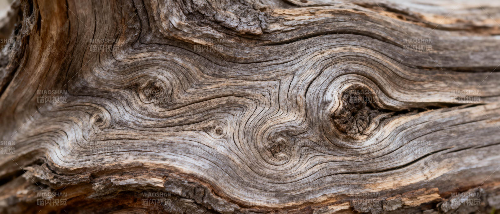 古木纹理图片