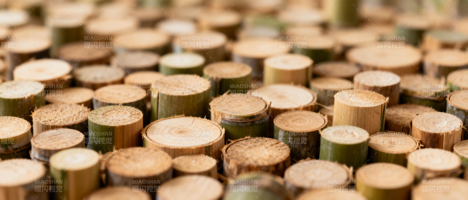 整齐排列的木桩图片