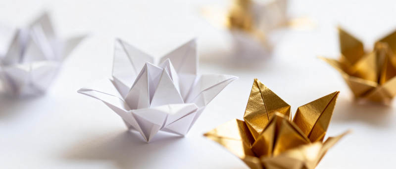 折纸莲花艺术图片