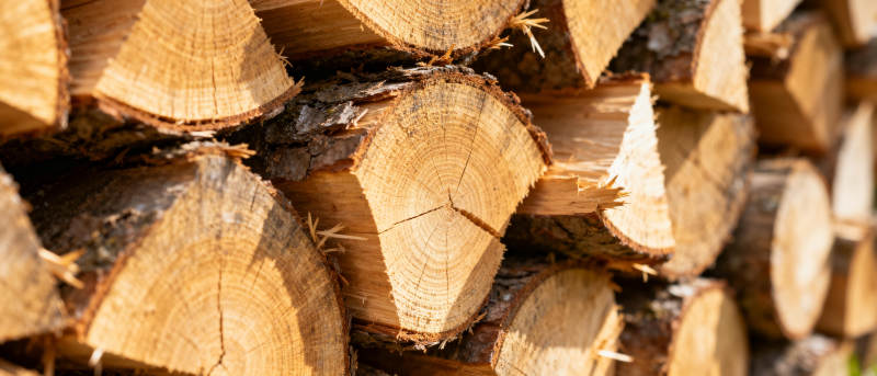 整齐堆放的原木图片