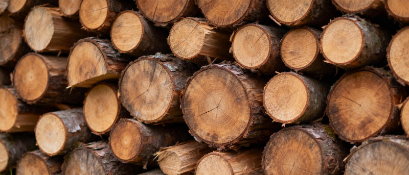 整齐堆放的原木图片