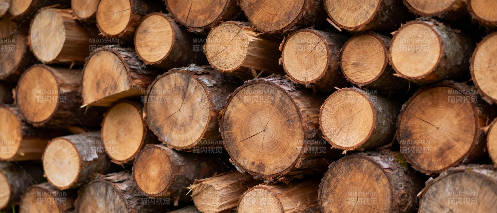 整齐堆放的原木图片