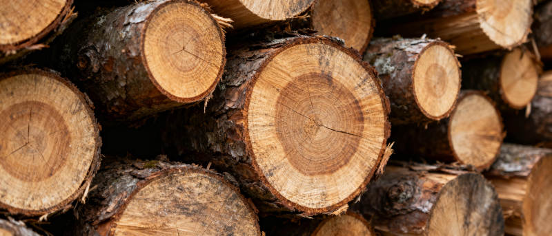 原木堆叠图片