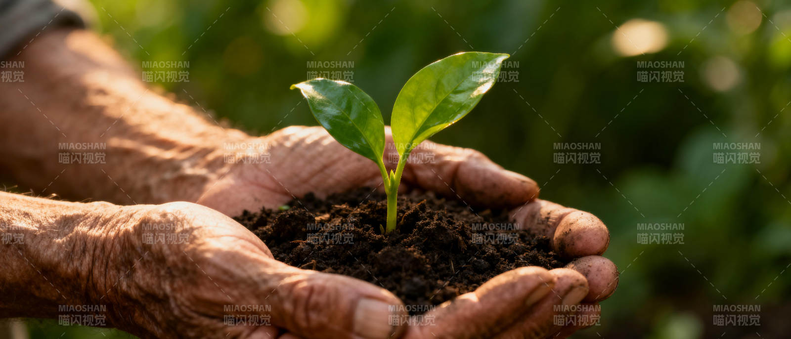 双手托起新生命图片
