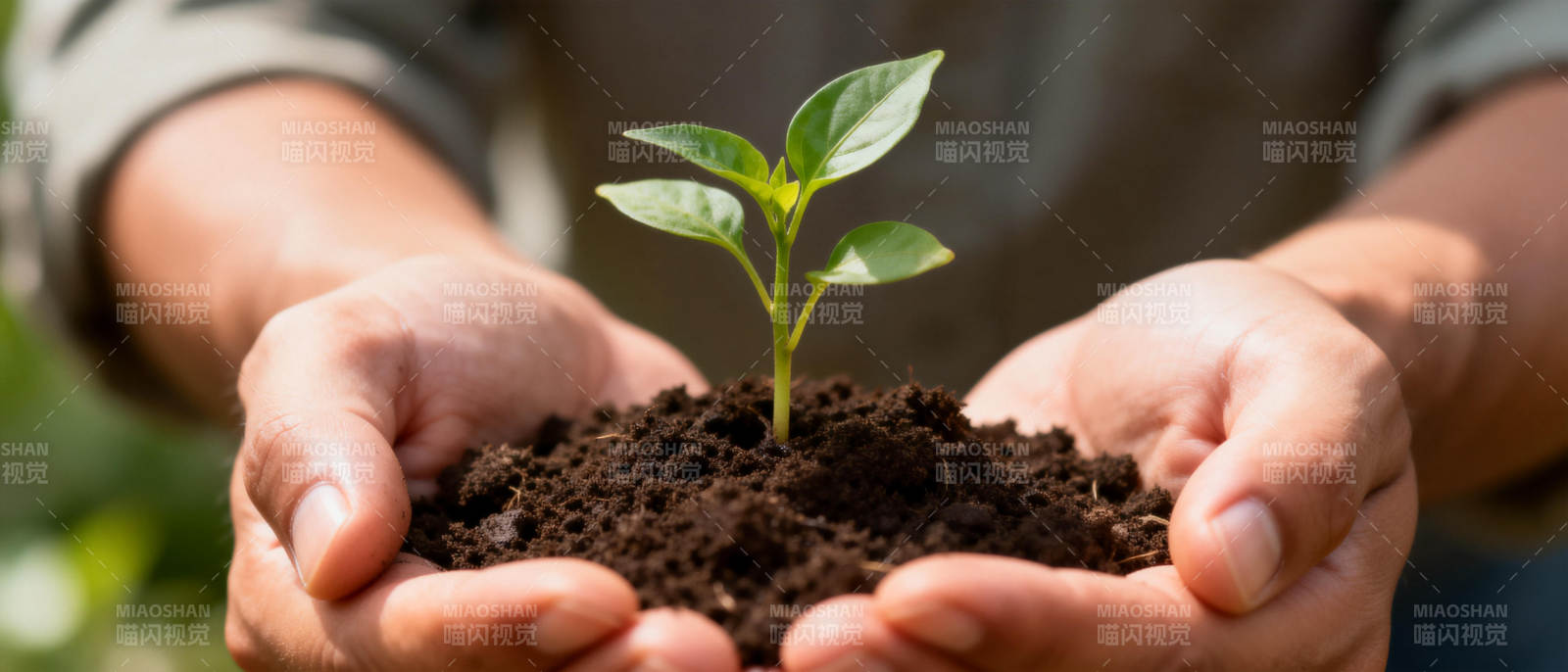 呵护新生命图片