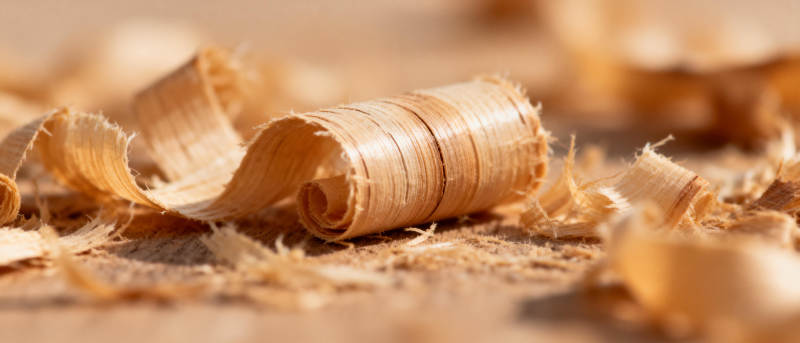 木屑卷曲特写图片