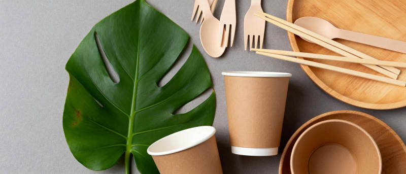 环保餐具与绿叶图片