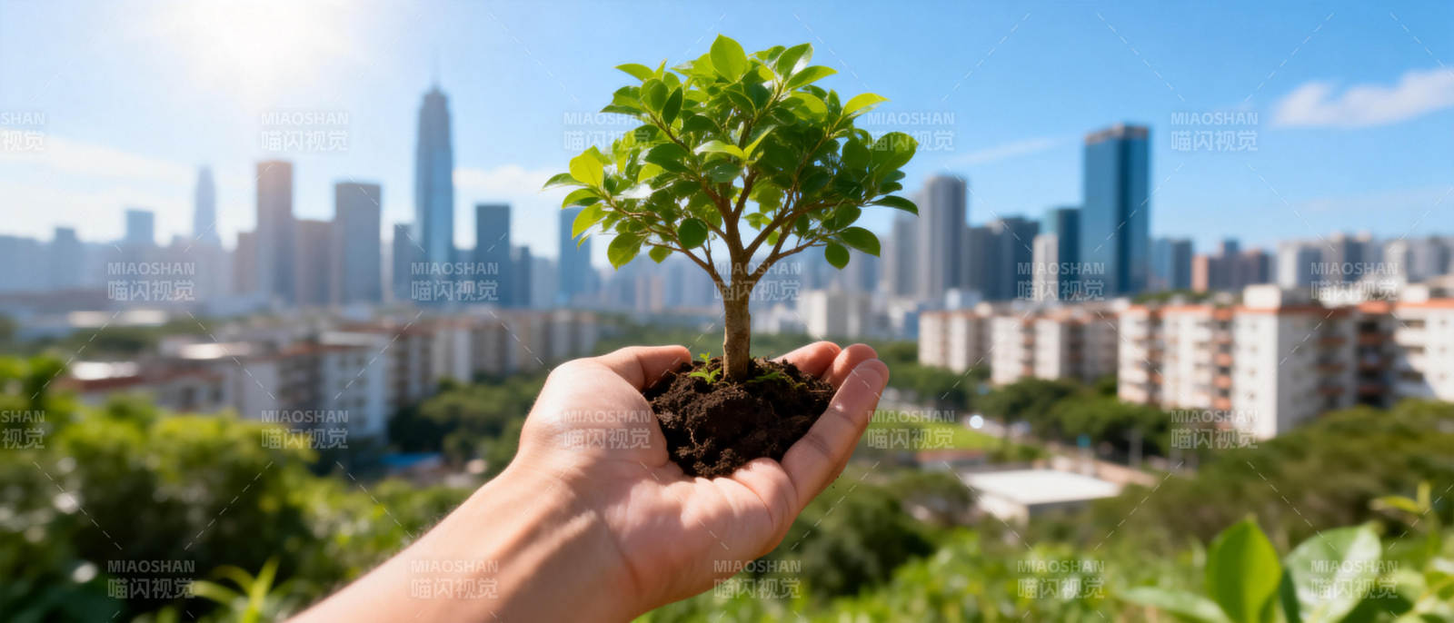 手捧绿树 城市新生图片