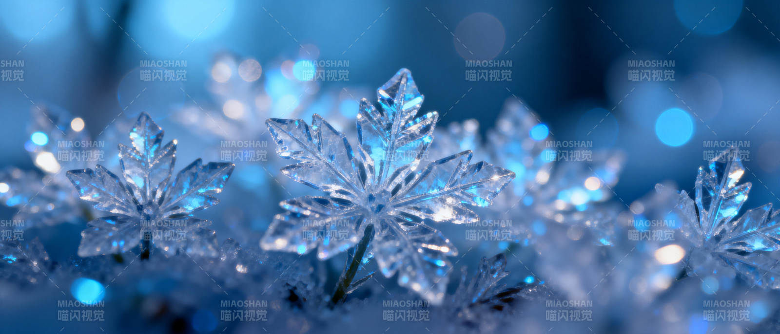 晶莹雪花绽放图片