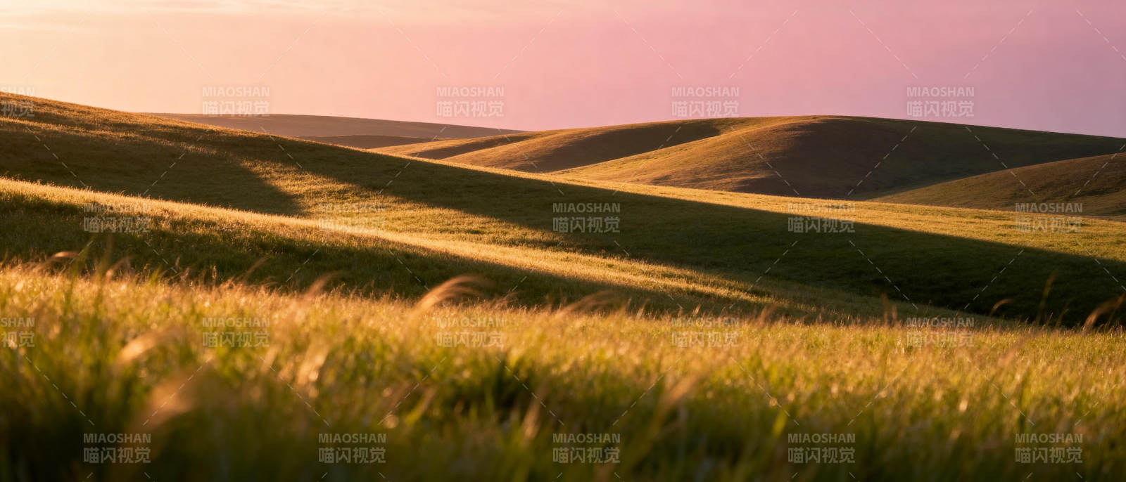 金色草原晨曦图片
